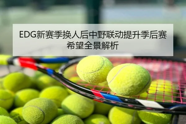 EDG新赛季换人后中野联动提升季后赛希望全景解析