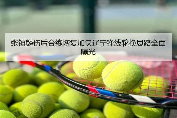张镇麟伤后合练恢复加快辽宁锋线轮换思路全面曝光